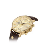 Hislon Erkek Kol Saati -MS200G-02KG