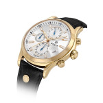 Hislon Erkek Kol Saati MS201G-02BG