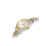 Hislon Kadın Kol Saati QL156T-02SG