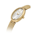 Hislon Kadın Kol Saati QL184G-02SG