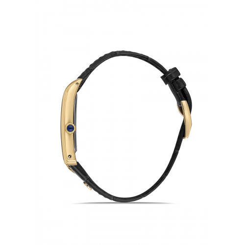 Momentus Erkek Kol Saati CM365G-02BG