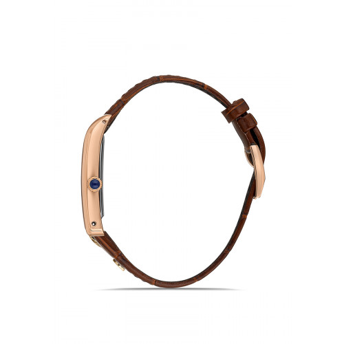 Momentus Erkek Kol Saati CM365R-02KR