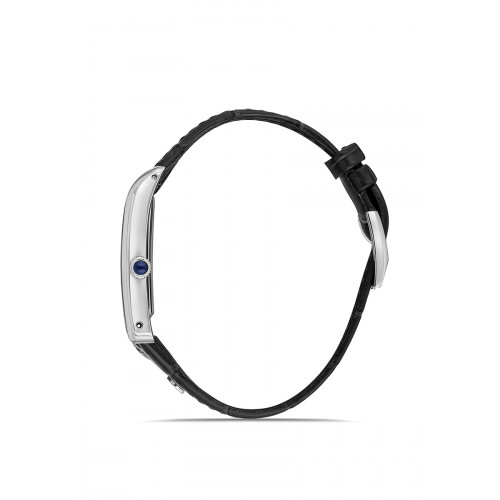 Momentus Erkek Kol Saati CM365S-02BS