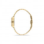 Momentus Kadın Kol Saati - CS262G-08SG