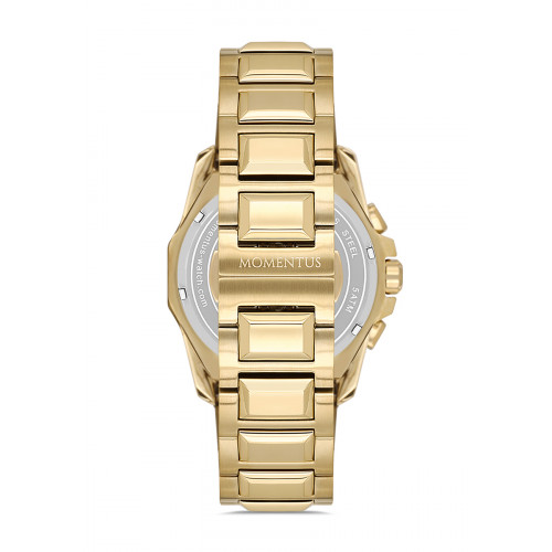 Momentus Erkek Kol Saati SM391G-15SG