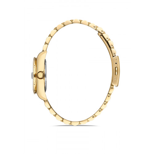 Momentus Kadın Kol Saati SW135G-08SG