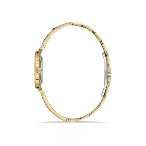 Momentus Kadın Kol Saati SW274G-15SG