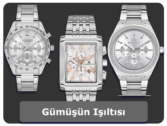 Gümüş Renkli Saat Markaları